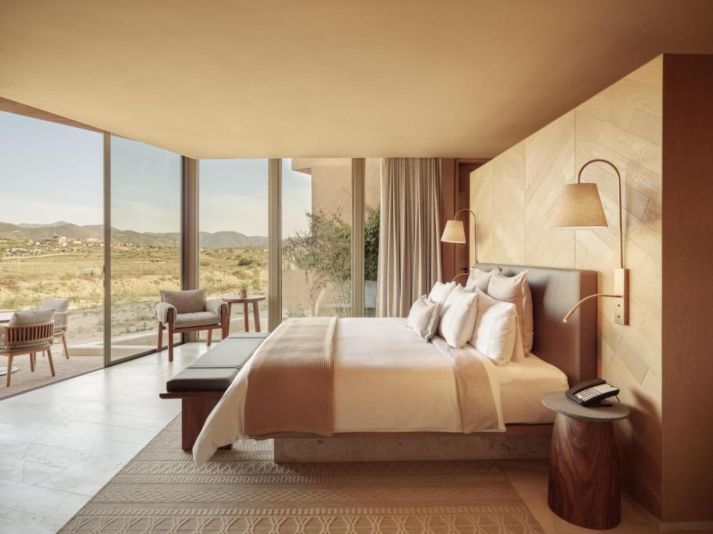 Banyan Tree Veya Valle de Guadalupe