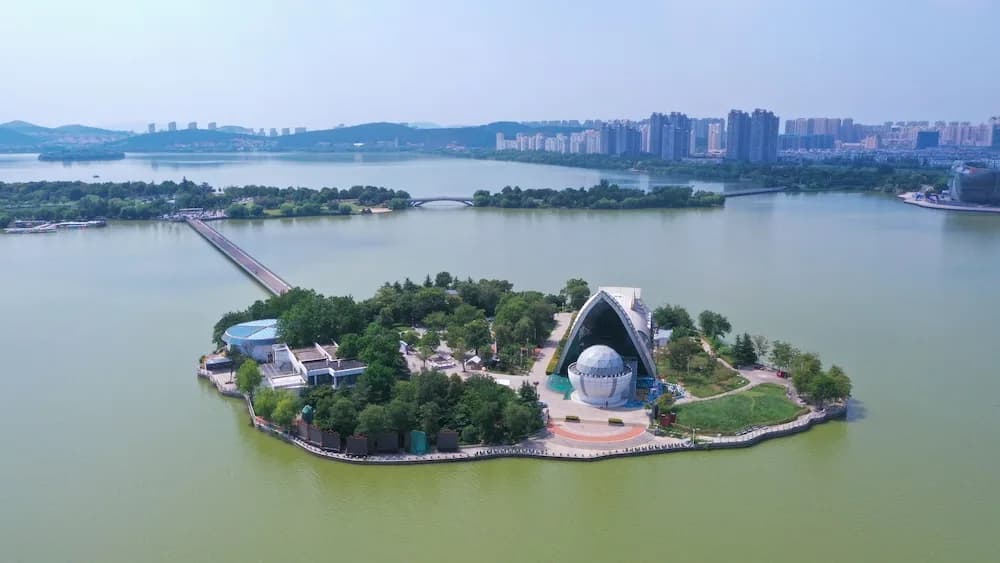 Cordis, Xuzhou
