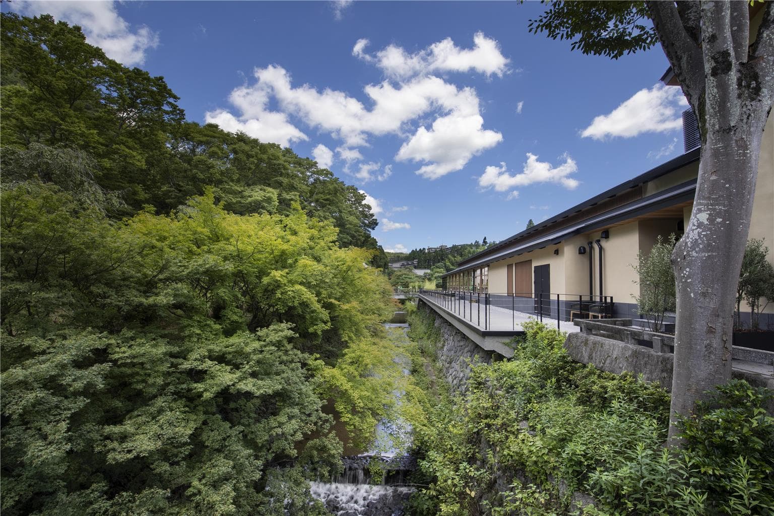 On-Site,Outdoor/Exterior,Garden