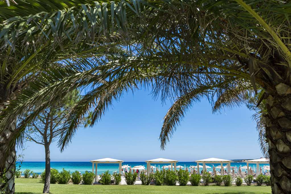 On-Site,Beach
