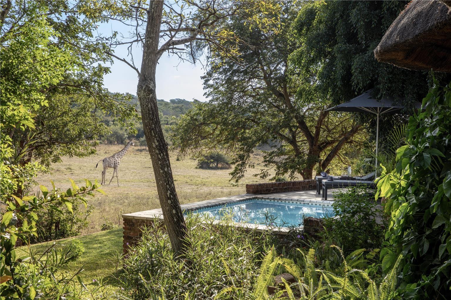 Pool,On-Site,Outdoor/Exterior,Property Amenity,Recreation,Exterior View of Building