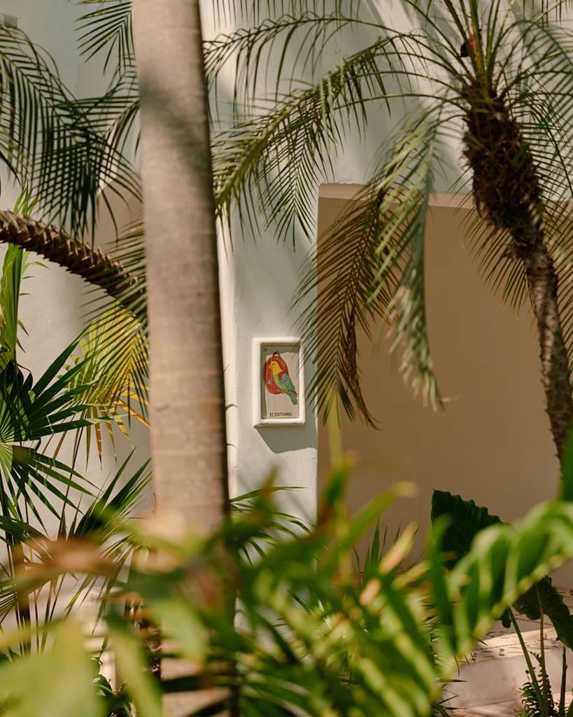 Guest Room,Suite,On-Site