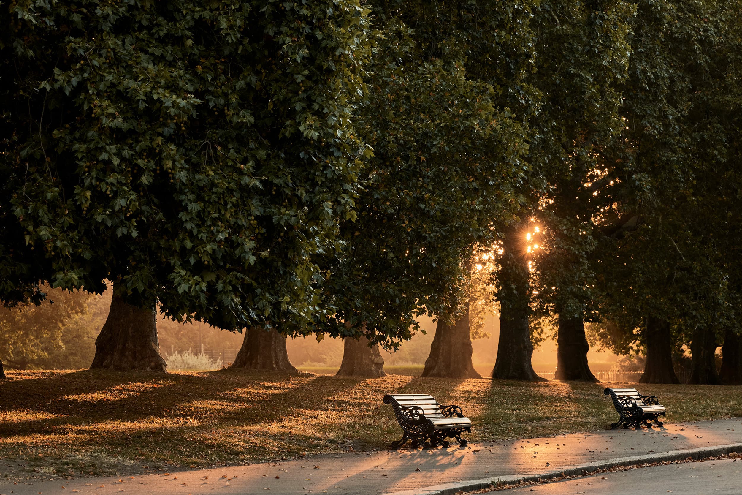 Hyde Park
