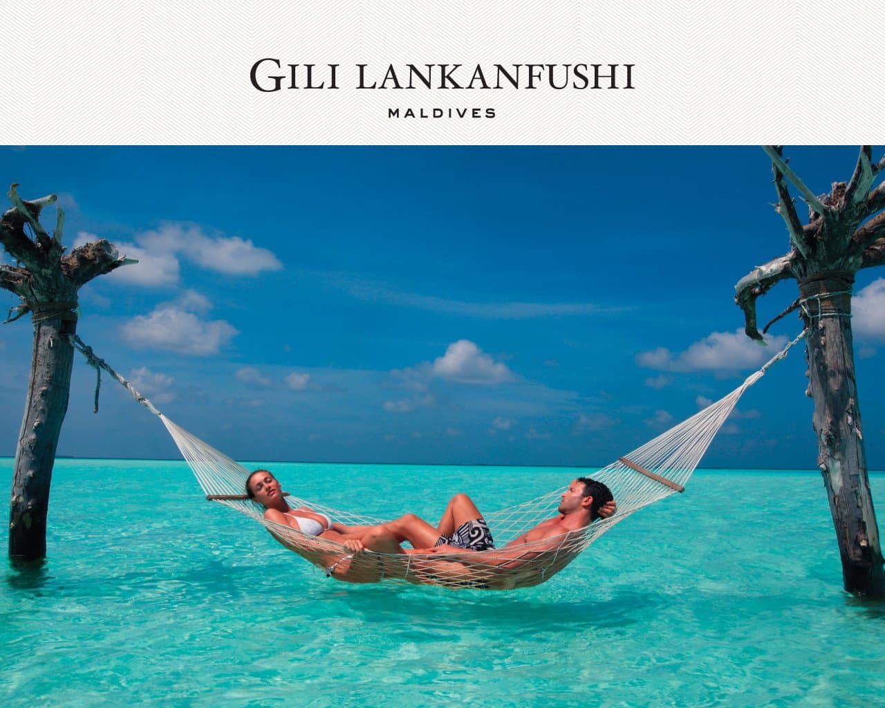 Hammock