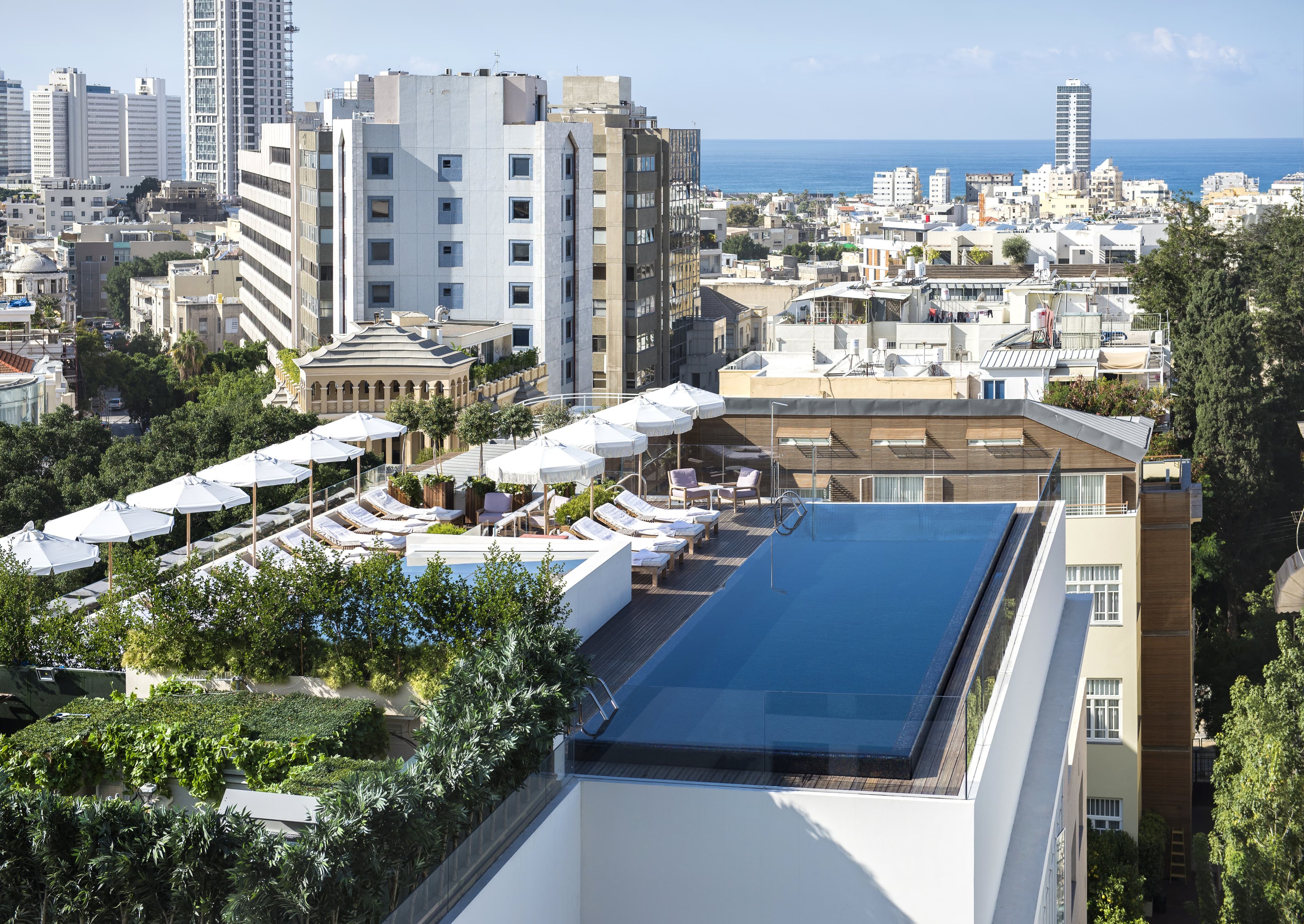 Rooftop Pool