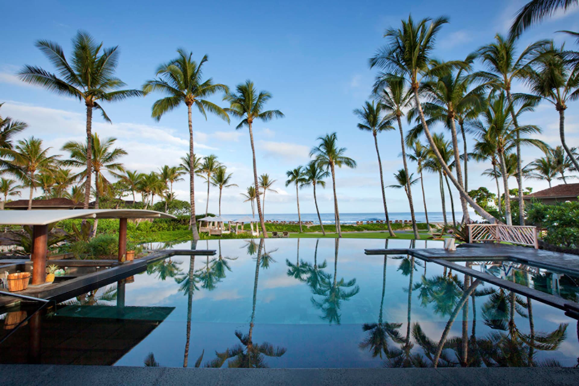 Adult Pool - Palm Grove