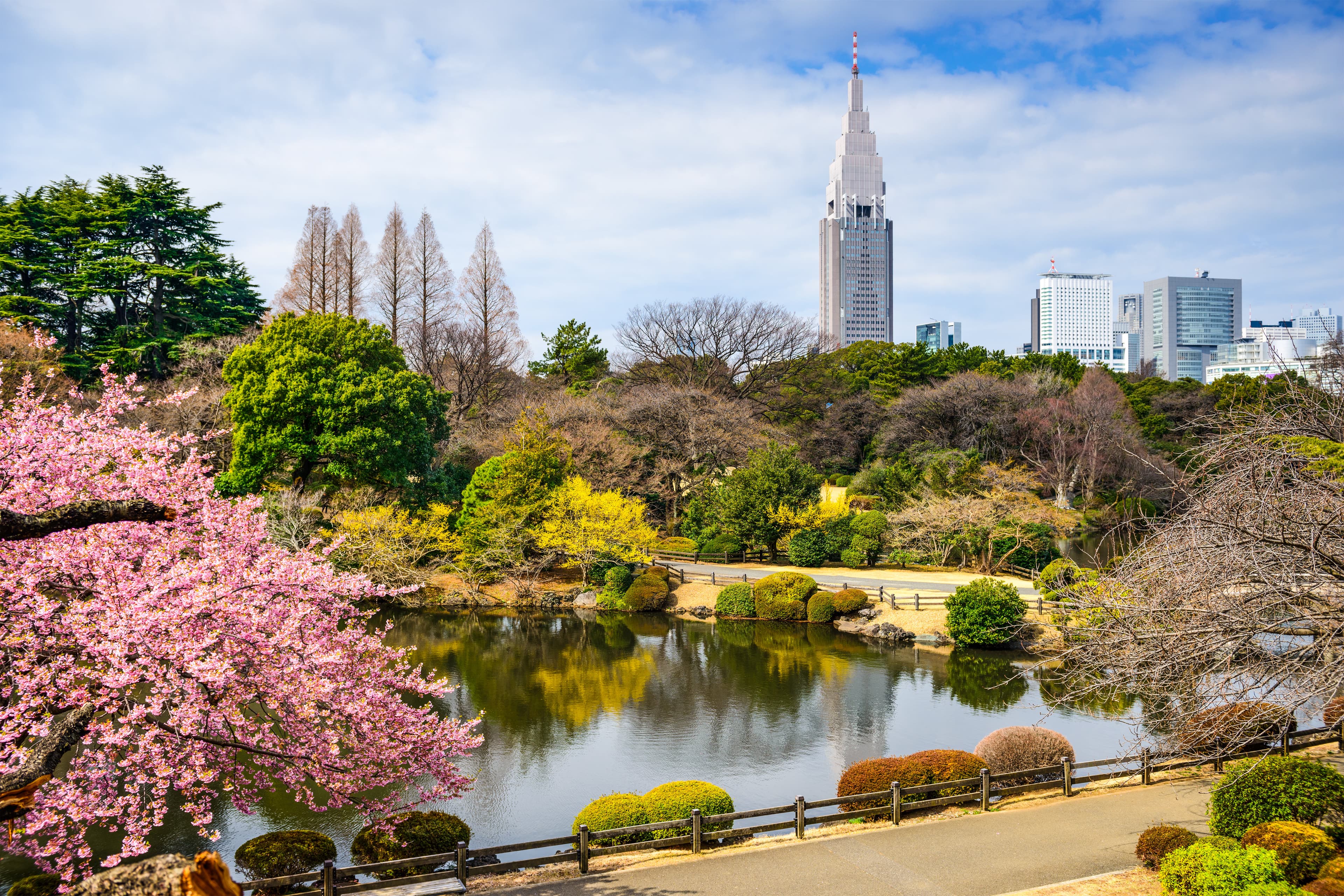 Shinjuku Gyoen