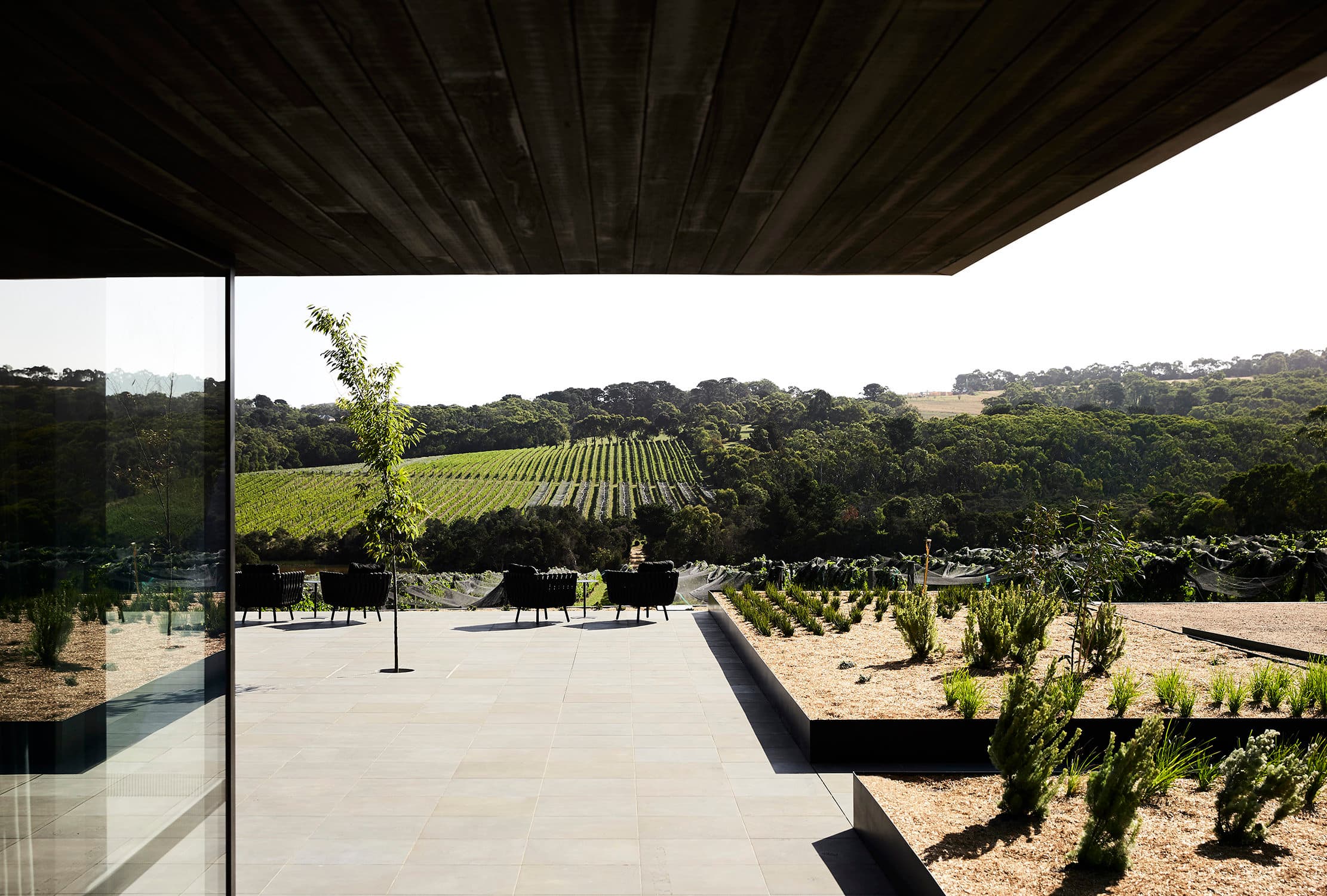 Guest Terrace