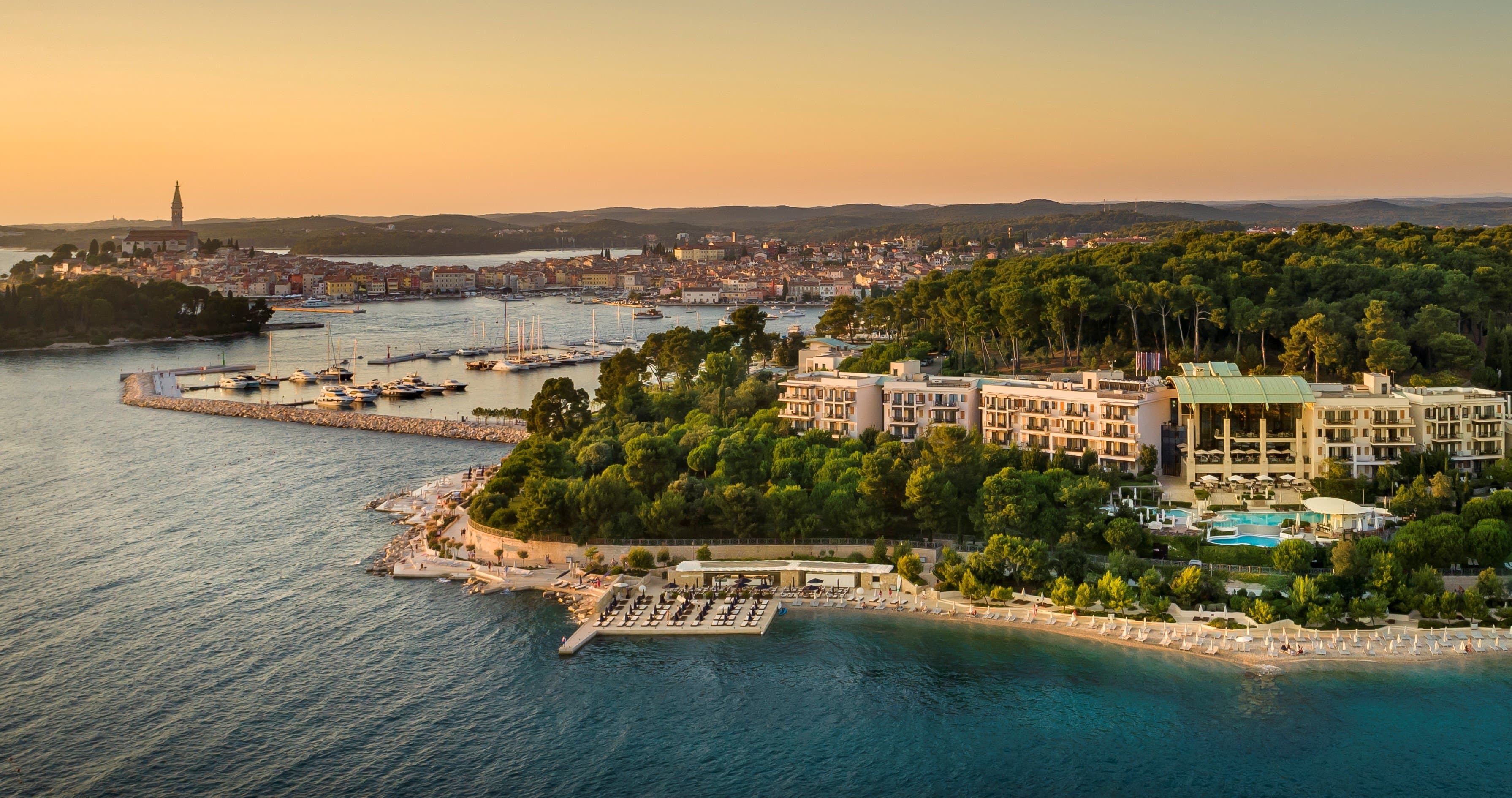 Panoramic View