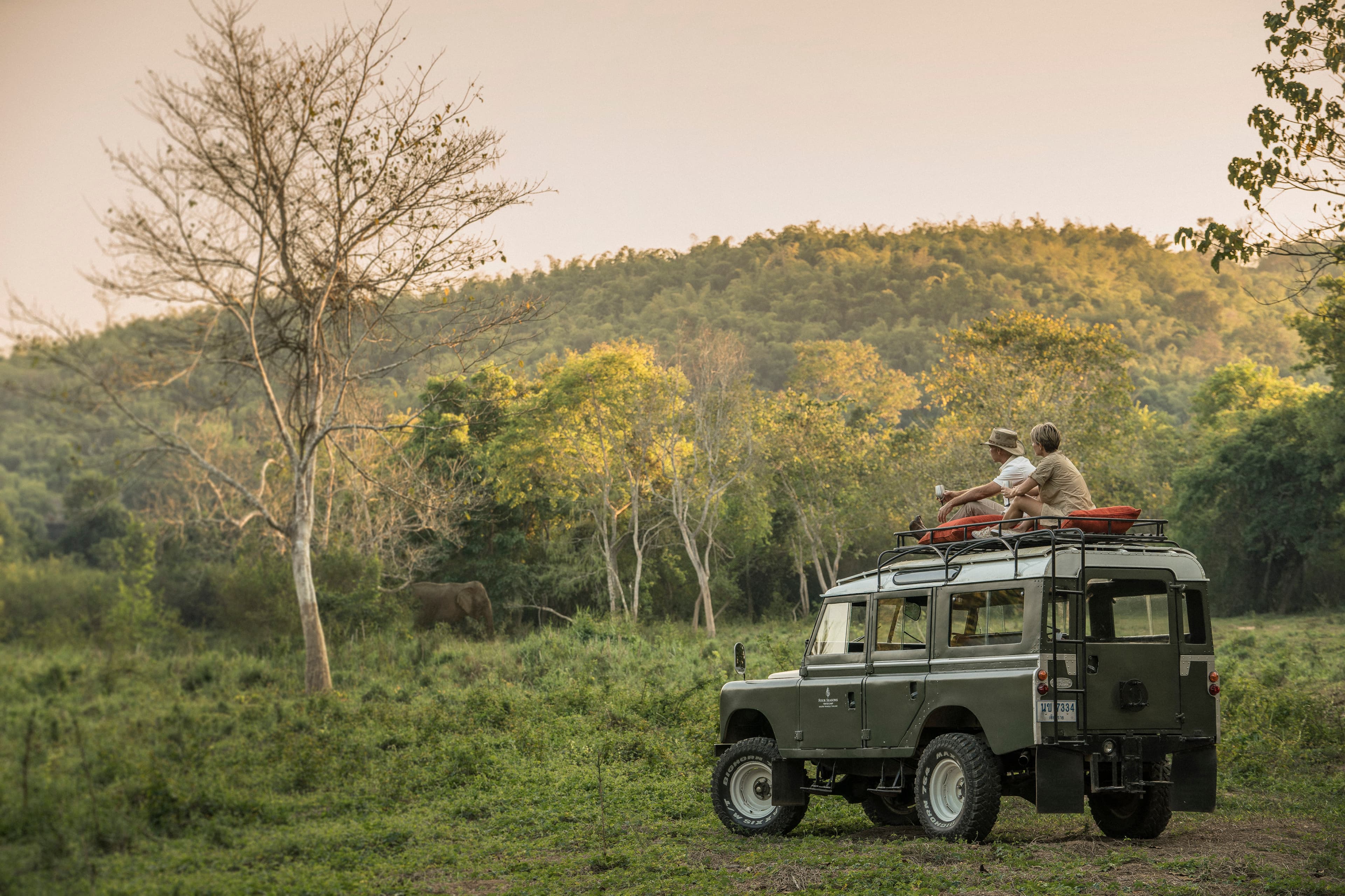 Jungle Trails - Picnic Sundowner