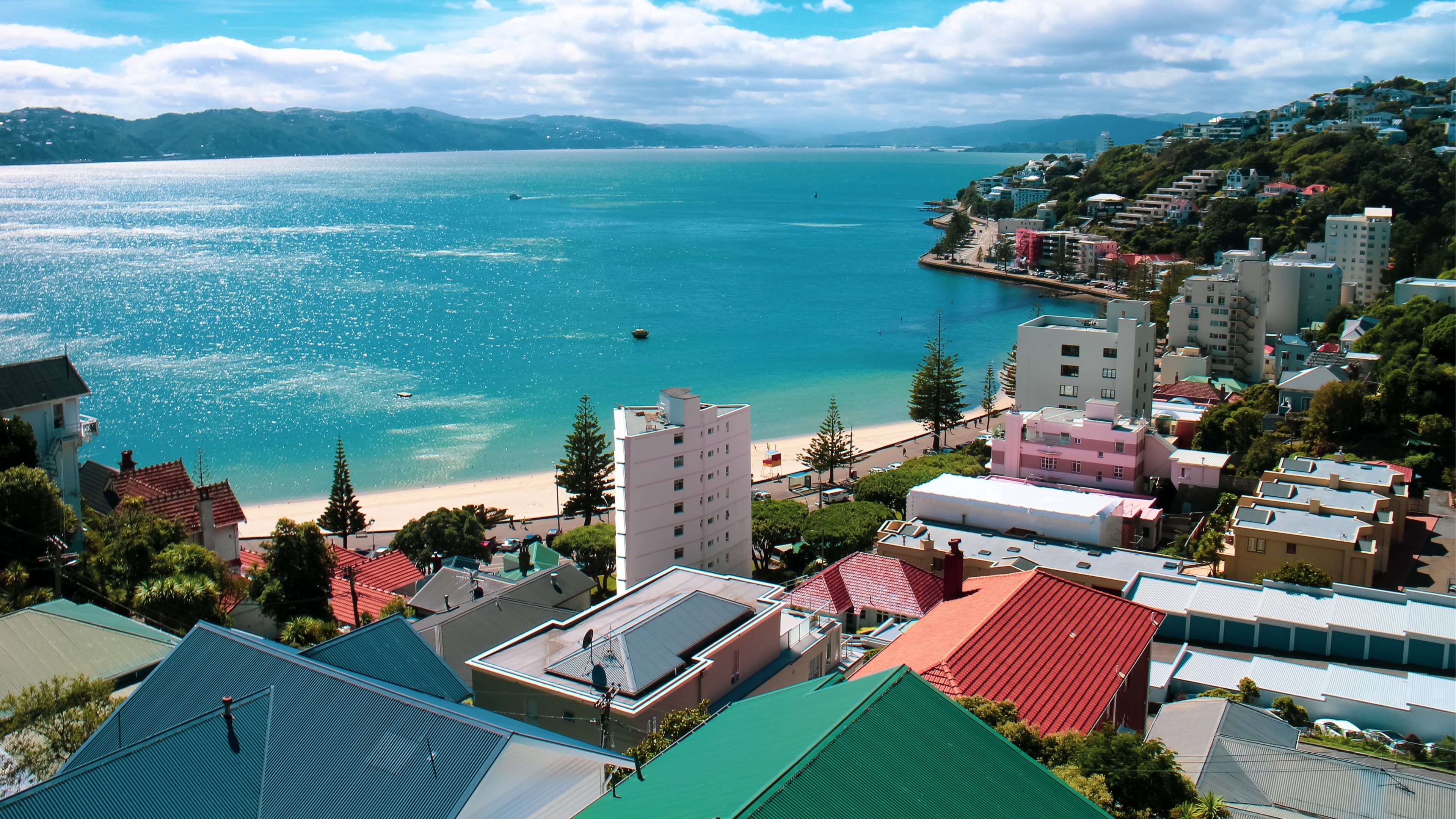 Oriental Bay Beach