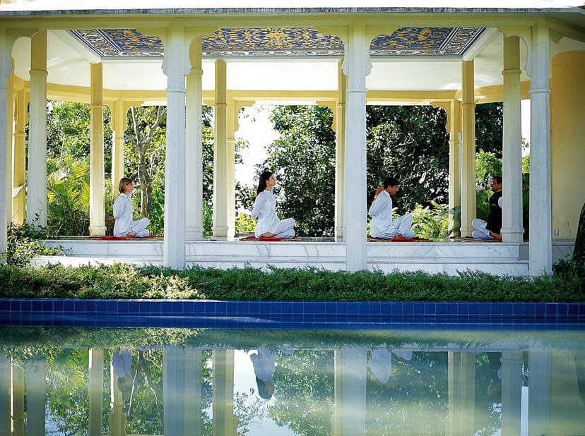 Ananda in the Himalayas