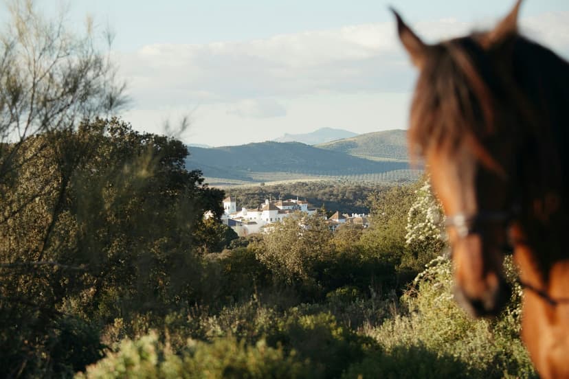 Finca La Bobadilla